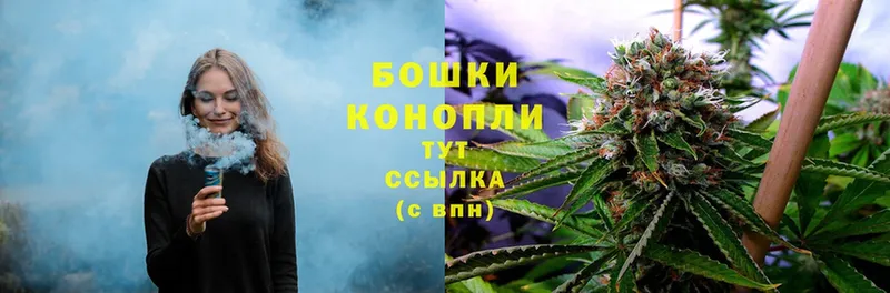 наркота  Луховицы  Конопля White Widow 